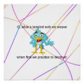 Kronkelig web perfect poster (Voorkant)