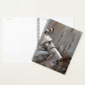 Kronkelige berkenbast boom rustiek planner (Display)