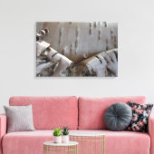 Kronkelige Berkenschors Boom Rustiek Canvas Afdruk (Insitu (Woonkamer))