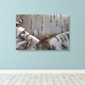 Kronkelige Berkenschors Boom Rustiek Canvas Afdruk (Insitu (Houten vloer))