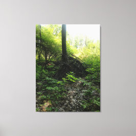 Kronkelige Boomvoet Canvas Afdruk