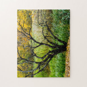 Kronkelige herfst Kareliaanse berkenboom Legpuzzel