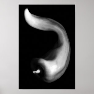 Kronkelige Paprika Close-up Zwart-wit Fotografie Poster
