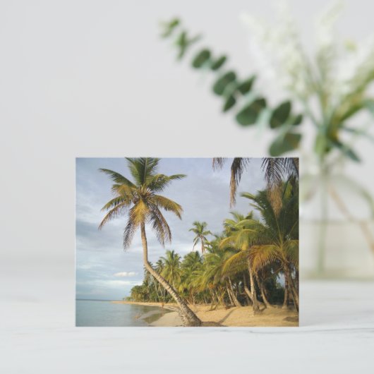 Krooked Palm Briefkaart (Staand voorkant)