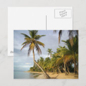 Krooked Palm Briefkaart (Voorkant / Achterkant)