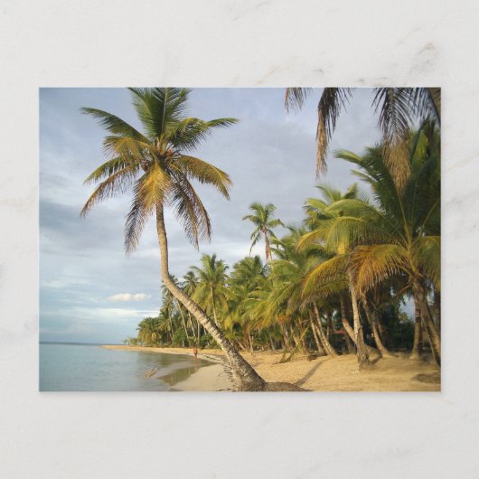 Krooked Palm Briefkaart (Voorkant)