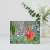 Kroon Briefkaart (Staand voorkant)