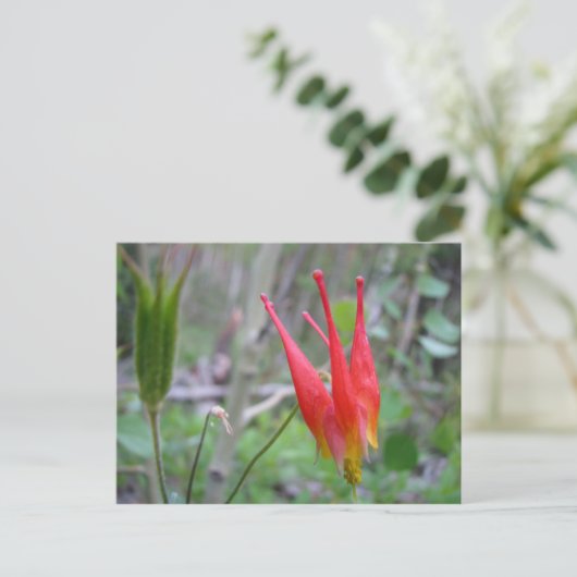 Kroon Briefkaart (Staand voorkant)