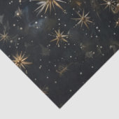 Kroon Napoleon - olieverfstijl weefselpapier Tissuepapier (Detail)