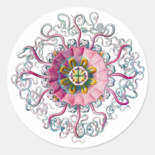 Kroon of Helmet Jellyfish Ronde Sticker