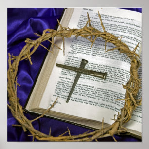 Kroon van doornen met nagels poster