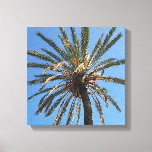kroon van een palmboom canvas afdruk (Voorkant)