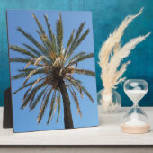 kroon van een palmboom fotoplaat (Zijkant)