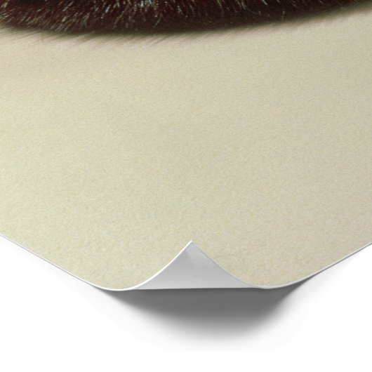 Kroon van Karan Poster (Hoek)