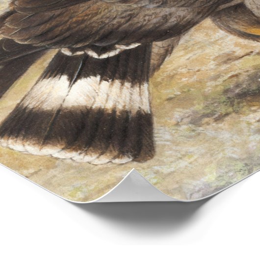 kroonadelaar poster (Hoek)