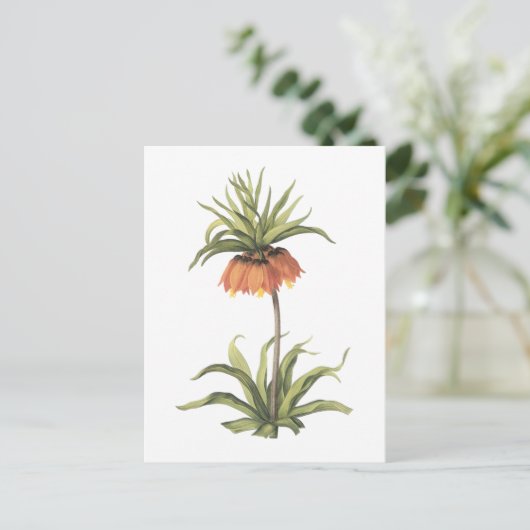kroonimperialis (Fritillaria imperialis) door Redo Briefkaart (Staand voorkant)
