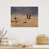 Kroonkraanvogels tijdens de vlucht poster (Keuken)