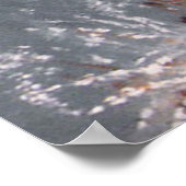 Kroonkranen, schilderen door DiDi Poster (Hoek)