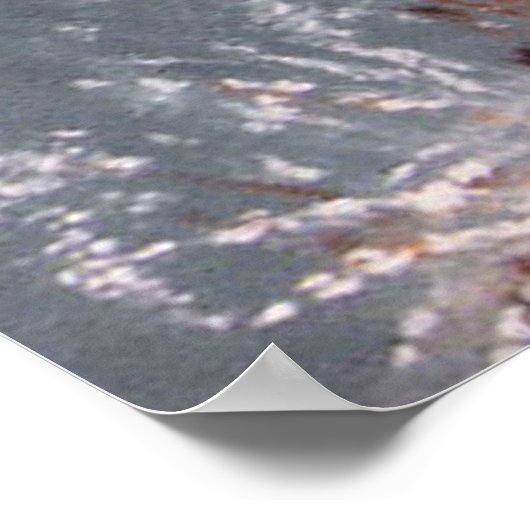 Kroonkranen, schilderen door DiDi Poster (Hoek)