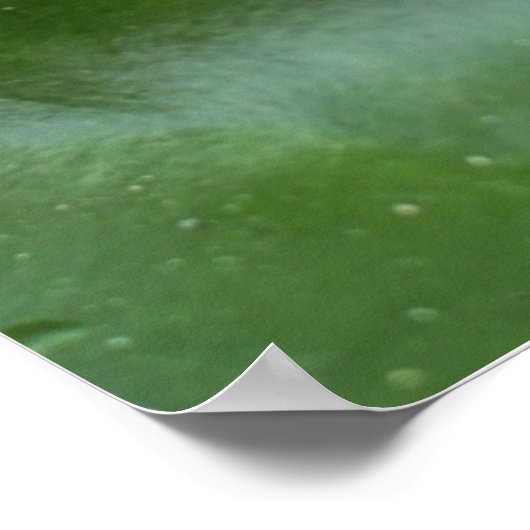 Kroonprins op Lily Pad Poster (Hoek)