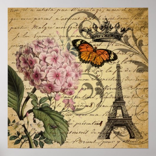 kroonschrift hydrangea vogel botanisch poster (Voorkant)