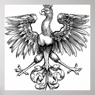Kroonse Poolse Eagle Art print Posters