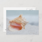 Kroonslak Shell Briefkaart (Voorkant / Achterkant)