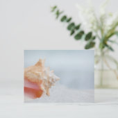 Kroonslak Shell | Florida Briefkaart (Staand voorkant)