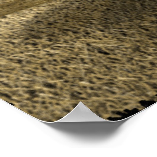 Kropcirkels Poster (Hoek)