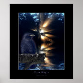 KROW Fantasy Art Poster (Voorkant)