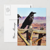 Krows Ravens Birds Black Briefkaart (Voorkant / Achterkant)