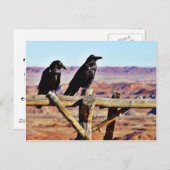 Krows Ravens Birds Black Briefkaart (Voorkant / Achterkant)
