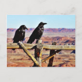 Krows Ravens Birds Black Briefkaart (Voorkant)
