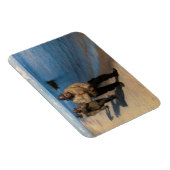 Kroyer - Drie vissers die een boot trekken Magneet (Rechterzijde)