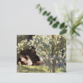 Kroyer's Les Rozen Briefkaart (Staand voorkant)