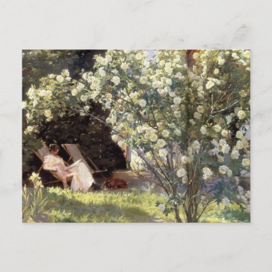 Kroyer's Les Rozen Briefkaart (Voorkant)