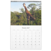 Kruger Afrikaanse safari Kalender (Jan 2027)