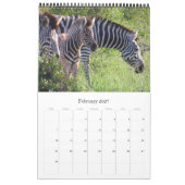Kruger Afrikaanse safari Kalender (Feb 2027)