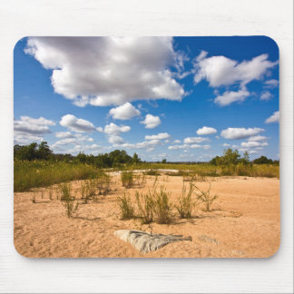 Kruger Landscape - Mousepad Muismat