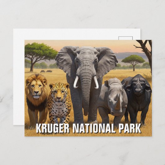 Kruger Nationaal Park Zuid-Afrika Reis Briefkaart (Voorkant / Achterkant)