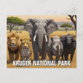 Kruger Nationaal Park Zuid-Afrika Reis Briefkaart (Voorkant)