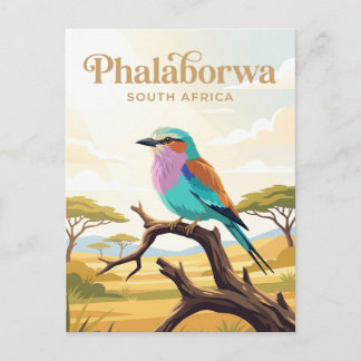 Kruger National Park South Africa Briefkaart