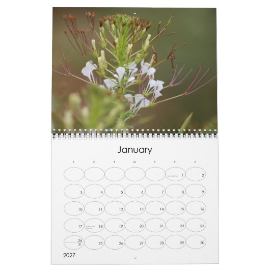 Kruger National Park wildkalender Kalender (Jan 2027)