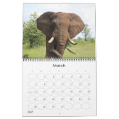 Kruger National Park wildkalender Kalender (Mar 2027)