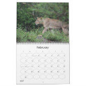 Kruger National Park wildkalender Kalender (Feb 2027)