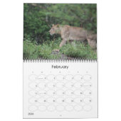 Kruger National Park wildkalender Kalender (Feb 2026)