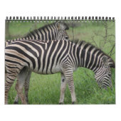 Kruger National Park wildkalender Kalender (Hoes)
