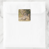 Kruger National Park, Zuid-Afrika Vierkante Sticker (Tas)