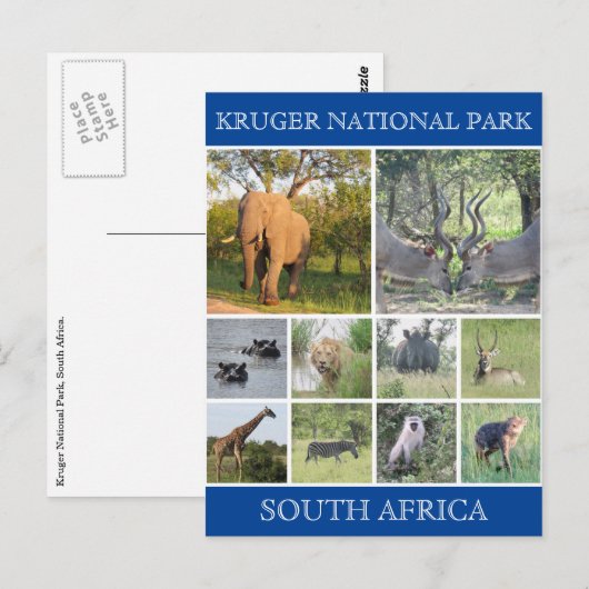 kruger np wildlife briefkaart (Voorkant / Achterkant)