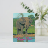 Kruger park in Zuid-Afrika Briefkaart (Staand voorkant)